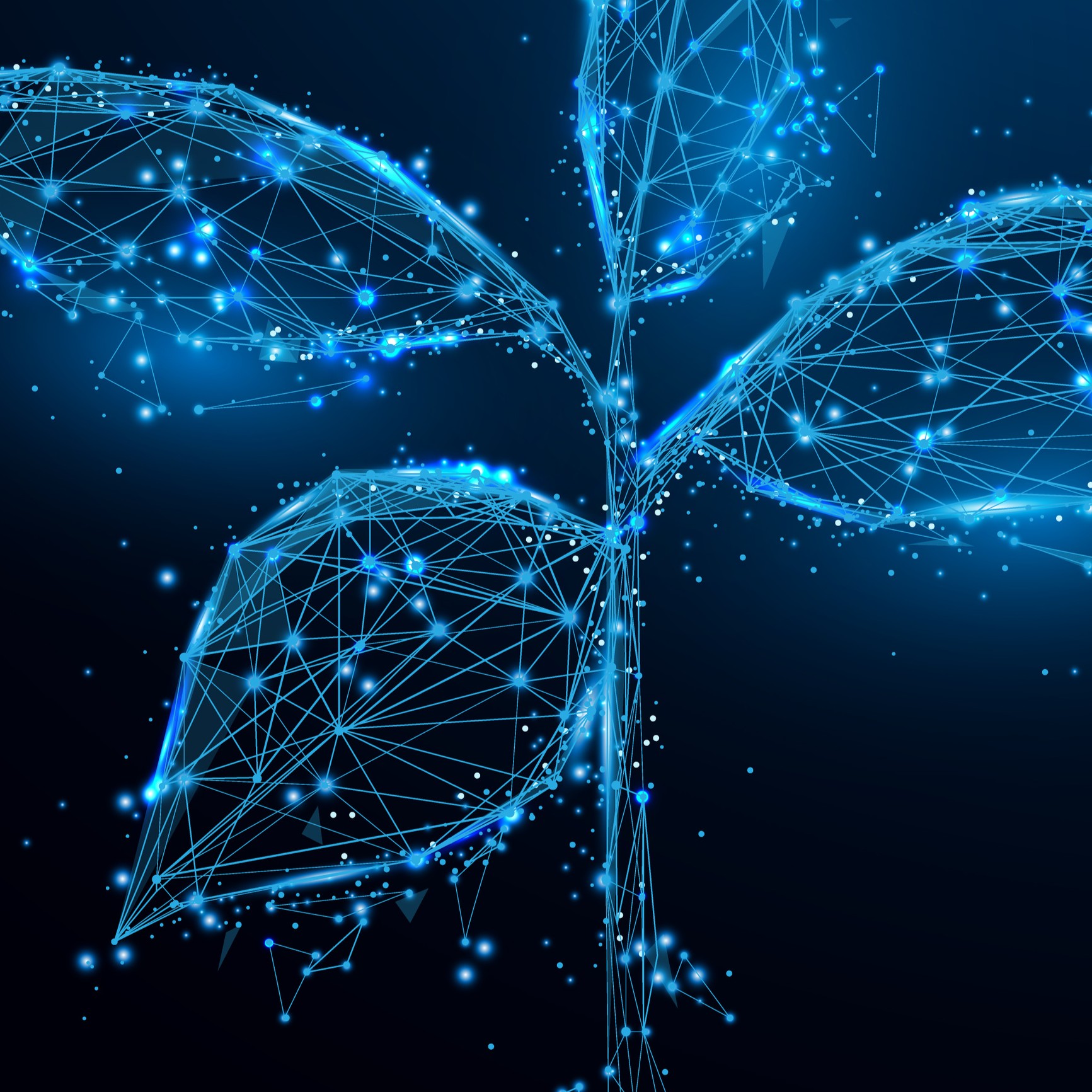 AdobeStock_180449032